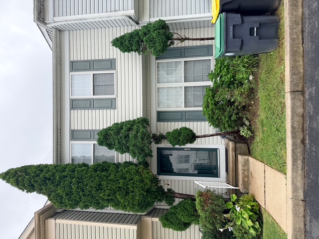36 Lisa Drive