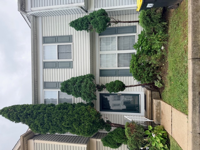 36 Lisa Drive